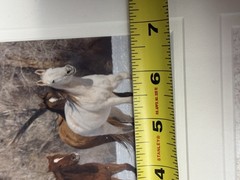 Tri Photo Horse Themed Piece In Wood Frame Signed