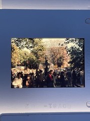Lot Of 36 November 1981 Florida Trip Amateur 35mm Color Slides