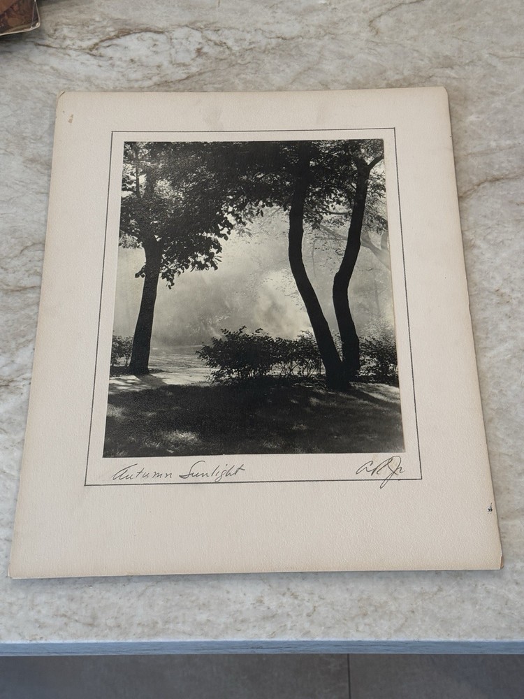 1950s “Autumn Sunlight” By AR Jr Evanston Illinois IL Art Foliage PHOTO 16×20”