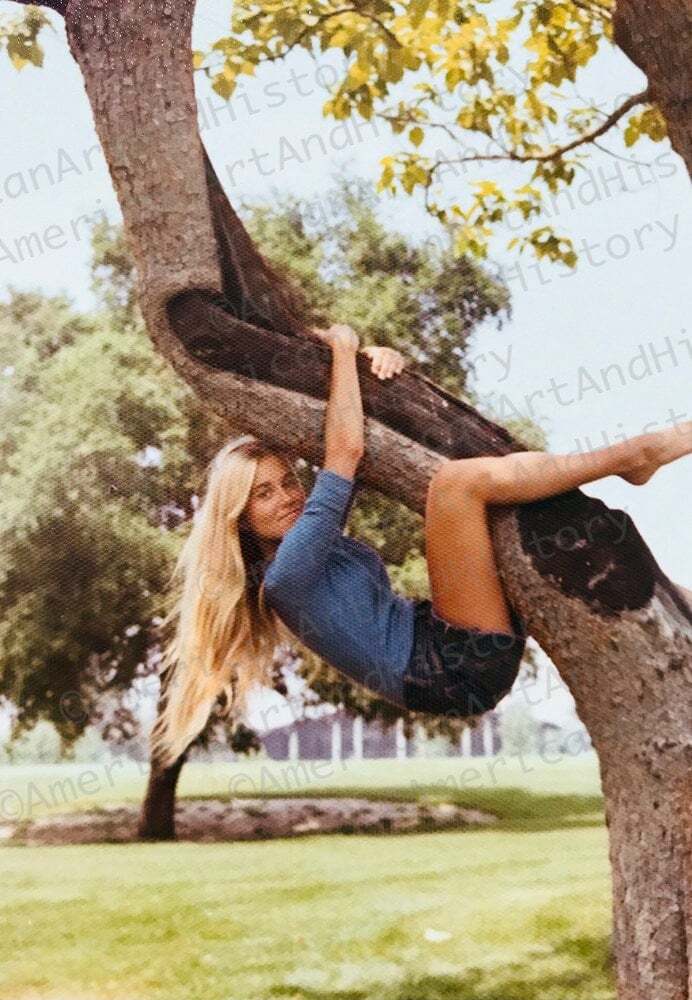 Marcia Brady Photo Print Poster Brady Bunch Maureen McCormick
