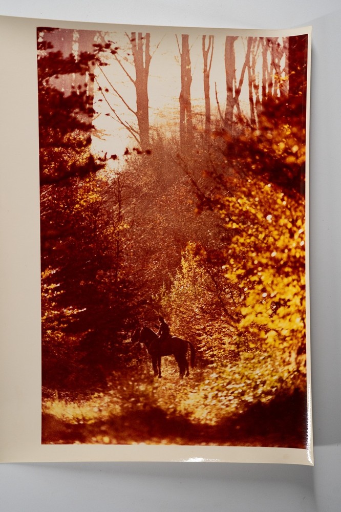 Vintage Analog Photo France Hunting Foxhunting Horse 24X30Cm 1970