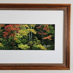 ART – Signed Gary Love Photograph 21.75×11.75 Framed Landscape Art – Maine Trees