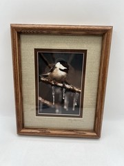 Chickadee On A Branch Original Photography Wooden Framed Signed Greg Ledermann