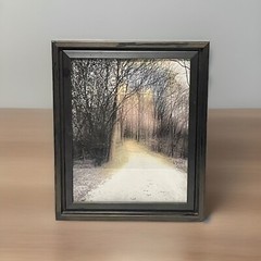Framed “A Road Less Taken” Photographic Print 11.75”H x 9.75”L