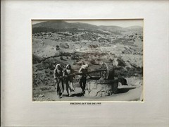 art photographs of Jerusalem from the 1920s and 1930s
