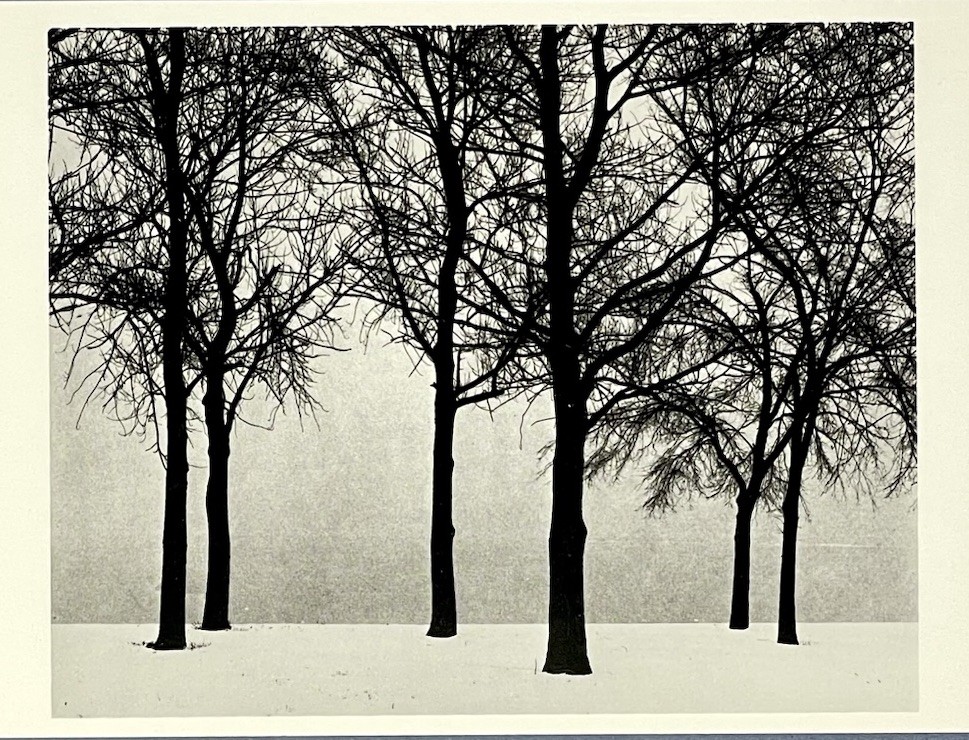 Chicago 1950 Art Print Card Photo By Harry Callahan Fotofolio 4”x6”