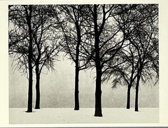 Chicago 1950 Art Print Card Photo By Harry Callahan Fotofolio 4”x6”