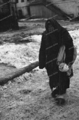 Negative-Tarutino-Kaluga-Russia-34th Inf.Div-Population-Refugees-1941-144