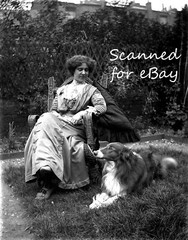 14 glass negatives 1890s / 1900s people wedding Naval Chatham Southsea Torquay