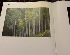THOMAS D MANGELSEN Original Photograph