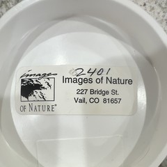 Thomas D. Mangelsen Signed Color Landscape Photo «Bad Boys of the Arctic»