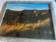 Photograph Of Desert In The Springtime Framed 15 1/2 X 12 1/2