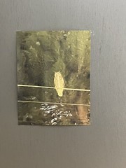 Landscape photograph- Owl At Night #3 8.5×11 Print