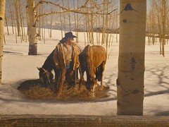 Don Schimmel Signed & Numbered Photography Cowboy «Aspen Meadow,Springtime.»