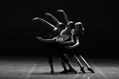 Women Dance Like Nobody’s Watching 8×10 Photos Collection 24 To Choose From WoW