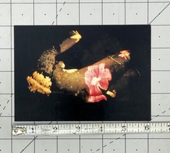 ALBERT CHONG – PROJECTIONS – Art Announcement Card 2001