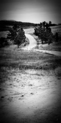 Fine Art Print, Black and White Image, 9×18, Road Less Traveled, Colorado