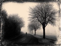 Walking J Edwards Original Art Tintype Limited Series From Artist C003