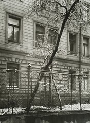 Josef Sudek Silver Print – Winter View