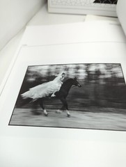 ibid Black & White Stock Photo House Portfolios Vol 1 & 2 Lot of 11 Vintage 90’s