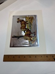Sportsman’s portfolio SHINY color-etch prints by Fred Sweney Sheep Fish Ducks