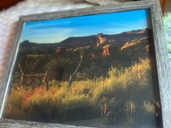 Photograph Of Desert In The Springtime Framed 15 1/2 X 12 1/2