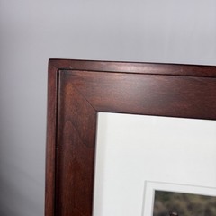 Framed Giraffe Photograph Signed Pat Benter Kenya Wildlife 16×13