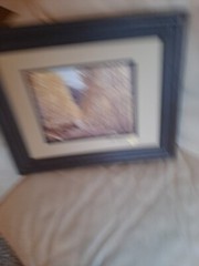 Vintage Framed Colorado Trail ART Photography by Colorado Artist Art Gore Signed