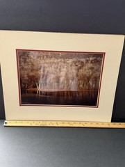 Landscape Photo Print Matted 18”x15” Tree Forrest Cottagecore Farmhouse Country