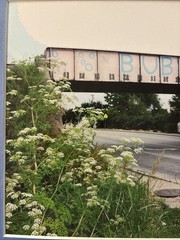 Kevin Greene Signed Framed Photograph Bubbles Railroad Overpass Graffiti Art