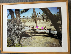 Sandy Kim – Original Art Photograph – Self Portrait Desert 2014 Edition of 2