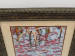 Cranberry Bog Picture Framed and Matted