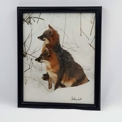 Apertures West 1991 Graham Smith Signed Nature Wildlife Photograph Fox In Snow