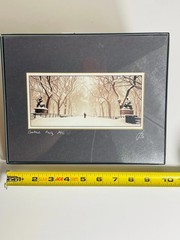 Central Park NYC Printed Photo Art