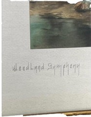 Framed&Signed Antique Fred Thompson “Woodland Symphony” Hand Tinted Photograph