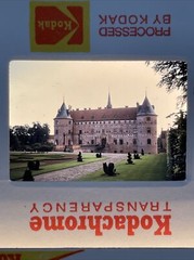 Lot Of 40 Vintage Worldwide Peru Jungle Vacation Amateur 35mm Color Slides ct36