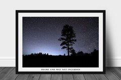 Pine Tree Silhouette and Starry Night Sky in Colorado Photo Print (Unframed)