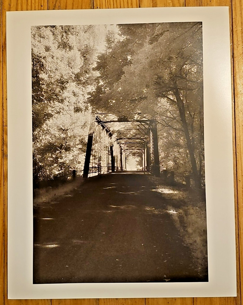 S. Falee Steel Bridge Tree Canopy Original Spooky 11×14