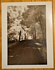 S. Falee Steel Bridge Tree Canopy Original Spooky 11×14