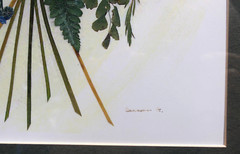 Original Fine Art Photography Still Life Flowers signed «Susan» Matted & Framed