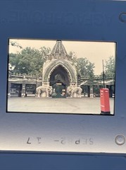 Lot Of 40 Vintage Budapest Hungary Vacation Amateur 35mm Color Slides ct39