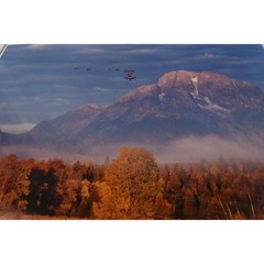 Thomas Mangelsen Signed Changing Seasons Grand Teton National Park 1980 Print