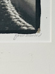 American Photographer Joan Almond Platinum Palladium Photo Print. 2004. Signed