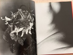 🎈SIGNED Nobuyoshi Araki – EROTOS, First Edition 1993, Japan, HC, LIBRO, SupRARE