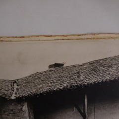 Original Black & White Analog Photography On Wood XXth Art Deco PN France