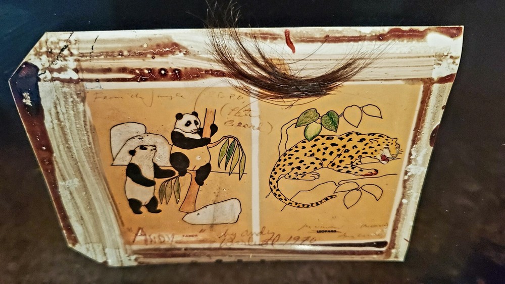 Peter Beard Polaroid. «Andy Panda» by Andy Warhol 1970. Signed & Framed