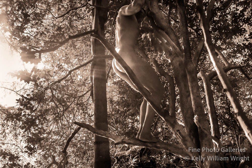 Original Male Nude KELLY WILLIAM WRIGHT Song Of The Trees #14 Art Photo 9×13