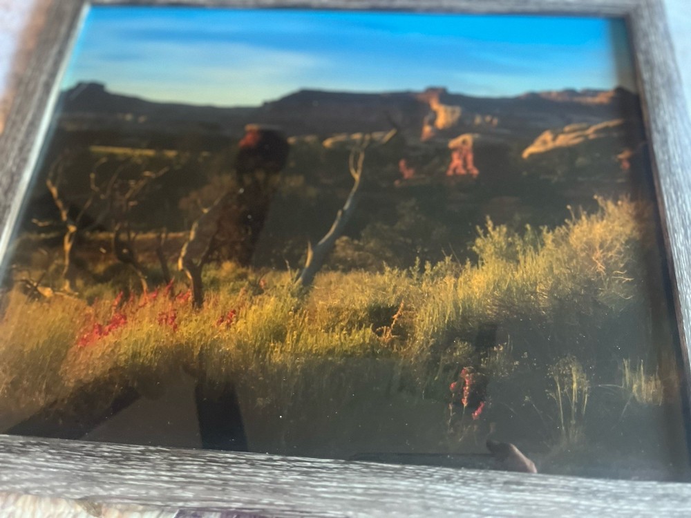 Photograph Of Desert In The Springtime Framed 15 1/2 X 12 1/2