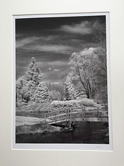 BRUCE BLUM SIGNED B&W Photo Print (19″X 24 «)-«Wooden Bridge»