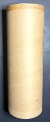 J Scott Peck Ltd Ed. 03/15 Ethereal Lighting Yellow Gladiolus Flower Photo Print